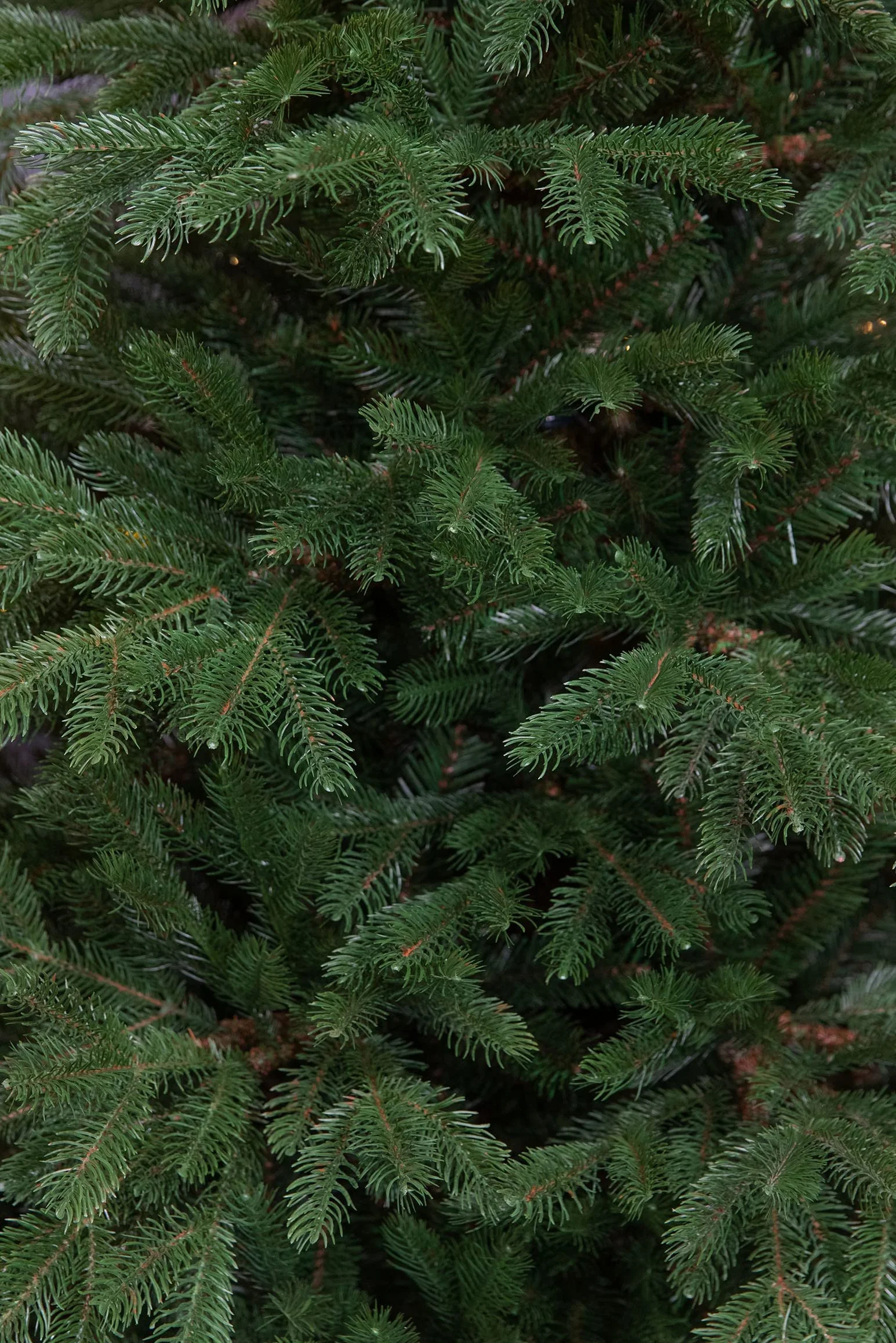 Black Box Trees Cottage sztuczna choinka – wys. 155 x Ø 122 cm – zielona