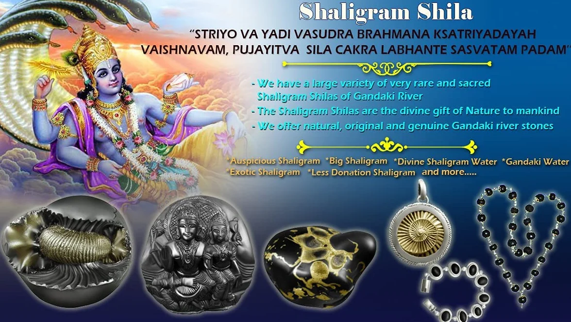 Sudarshan Shaligram | Nepal Gandaki rzeka Saligram (2,5 cm) oryginalny sudarshan czakra shaligram
